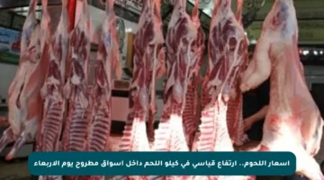 أسعار اللحوم.. ارتفاع قياسي في كيلو اللحم داخل أسواق مطروح يوم الأربعاء